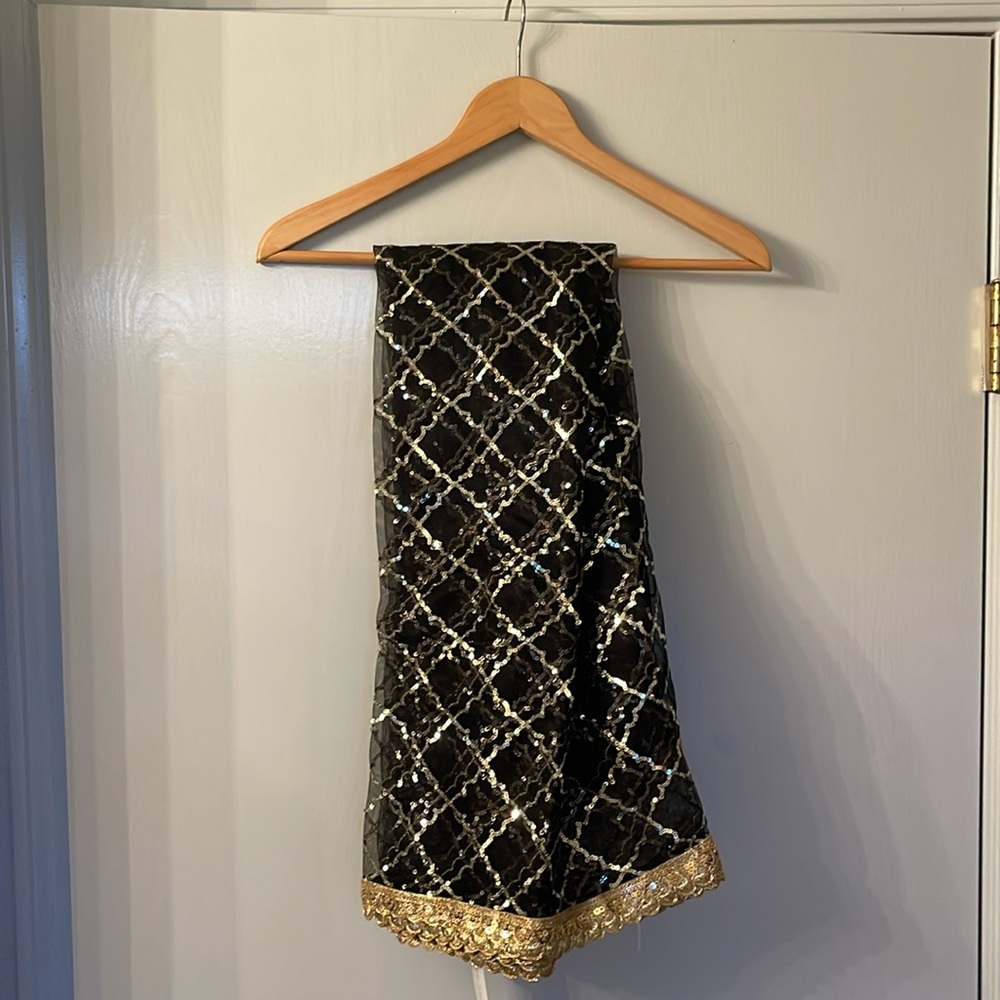 The Saree Room Black Lacquer Dupatta
